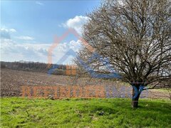 Giurgiu, Bucsani, teren 10000 mp intravilan, agricol