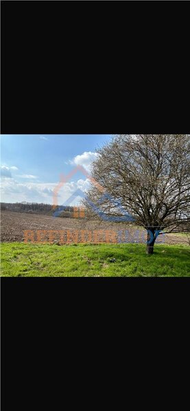 Giurgiu, Bucsani, teren 10000 mp intravilan, agricol.