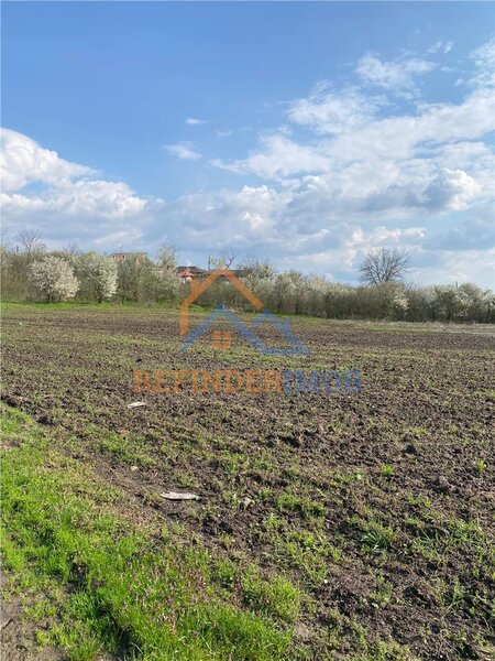 Giurgiu, Bucsani, teren 10000 mp intravilan, agricol.