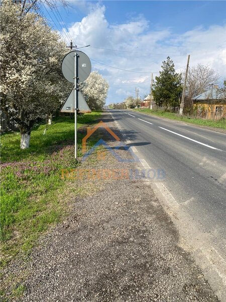 Giurgiu, Bucsani, teren 10000 mp intravilan, agricol.