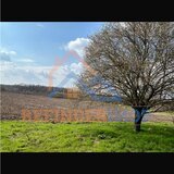 Teren 10000 mp intravilan - agricol / Giurgiu / Bucsani